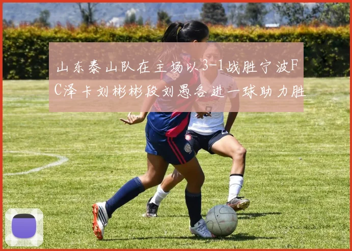 山东泰山队在主场以3-1战胜宁波FC泽卡刘彬彬段刘愚各进一球助力胜利