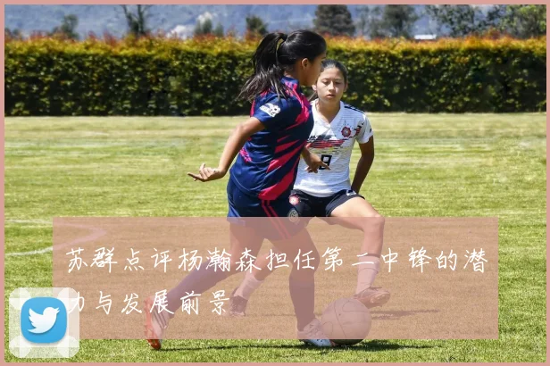 苏群点评杨瀚森担任第二中锋的潜力与发展前景
